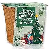 valeaf Weihnachtsbaum Anzucht Set I tolle Geschenk-Idee, Wichtelgeschenke Weihnachten, Nikolausgeschenke und Garten Geschenke I Weihnachtsbaum aus der Dose I Pflanzset inkl. Zubehör