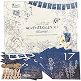 OwnGrown Blume Adventskalender 2024 - Nachhaltig Weihnachtskalender Satz - Pflanzensamen DIY Kalender Inklusive Schnur, Wäscheklammer, Umschlag Blau - Ideal Geschenke für Gartenliebhaber