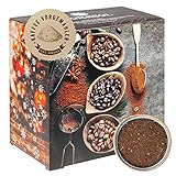 Corasol Premium Flavoured Coffee Kaffee-Adventskalender mit 24 aromatisierten Kaffee-Kreationen, gemahlen für Genießer (240 g)